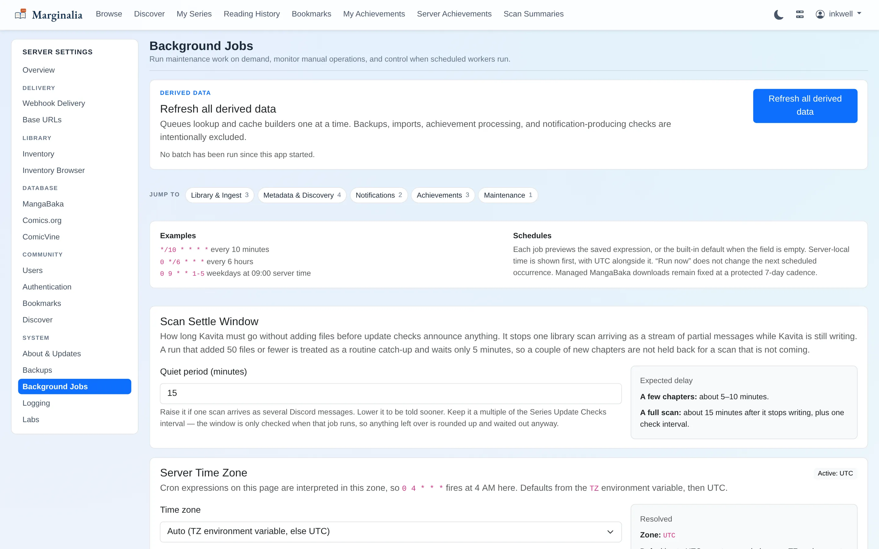 Background jobs page with grouped job sections, cron examples, scan settle window and server timezone controls